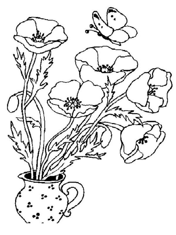 Coloring book of poppies in a vase